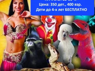 30 июня ККЗ МИР. Цирк!!!